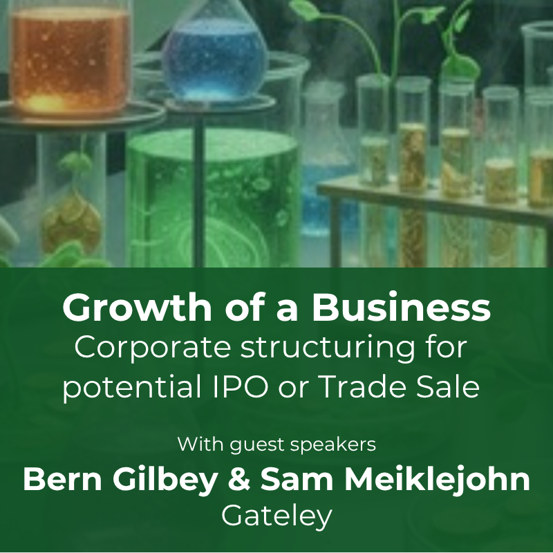 Corporate Structuring for potential IPO or Trade Sale