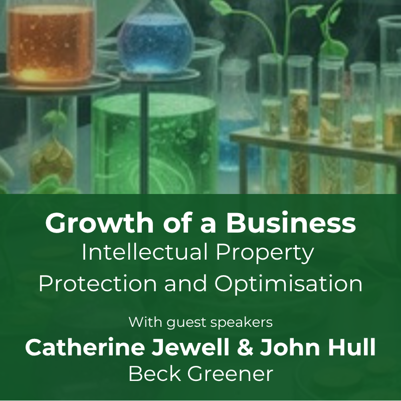 Intellectual Property Protection and Optimisation