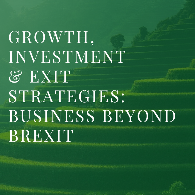SPRING ONLINE CONFERENCE - Growth, Investment and Exit Strategies: Business Beyond Brexit